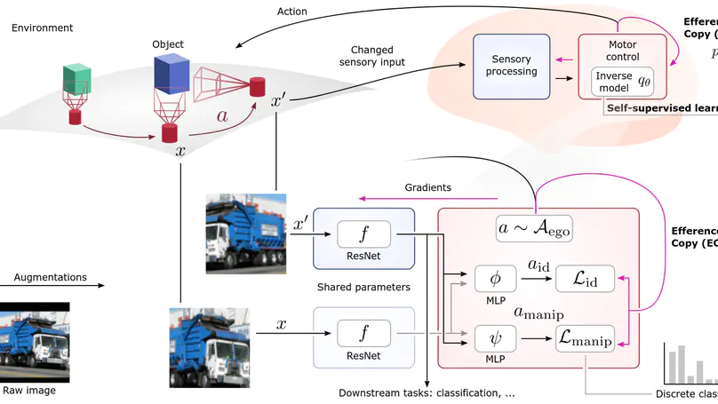 Self-supervised Learning Through Efference Copies